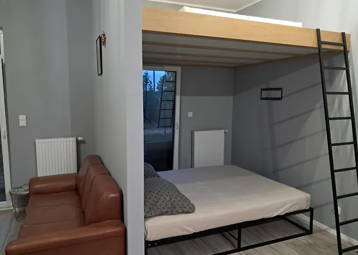 Апартаменты Mieszkanie Ptasia 20 Obok Stadionu I Lotniska Z Darmowym Parkingiem -self Check In